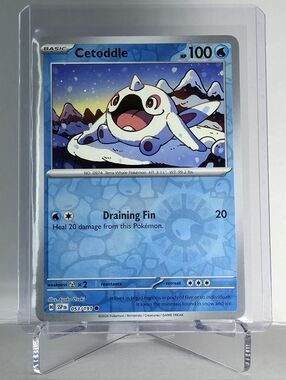 Pokémon TCG - Cetoddle - Surging Sparks - Reverse Holo - 053/191